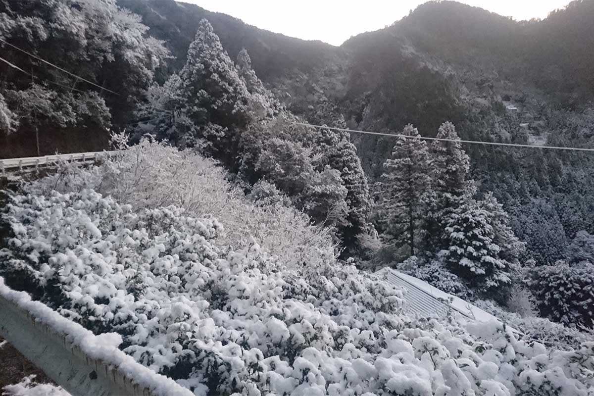 雪の土佐山